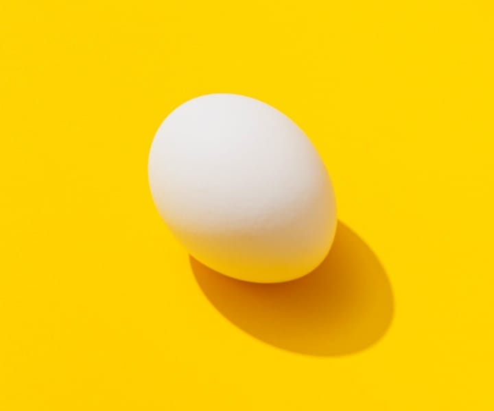 egg in yellow background